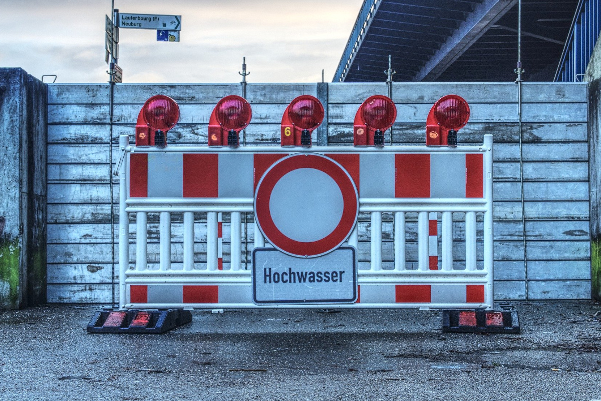 Entwurzelt 1200x800 Entwurzelt 1200x800